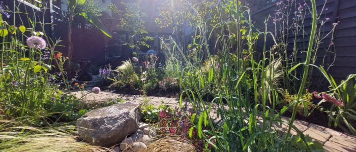 garden2